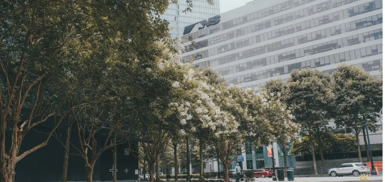 Untitled design (4)1773535297